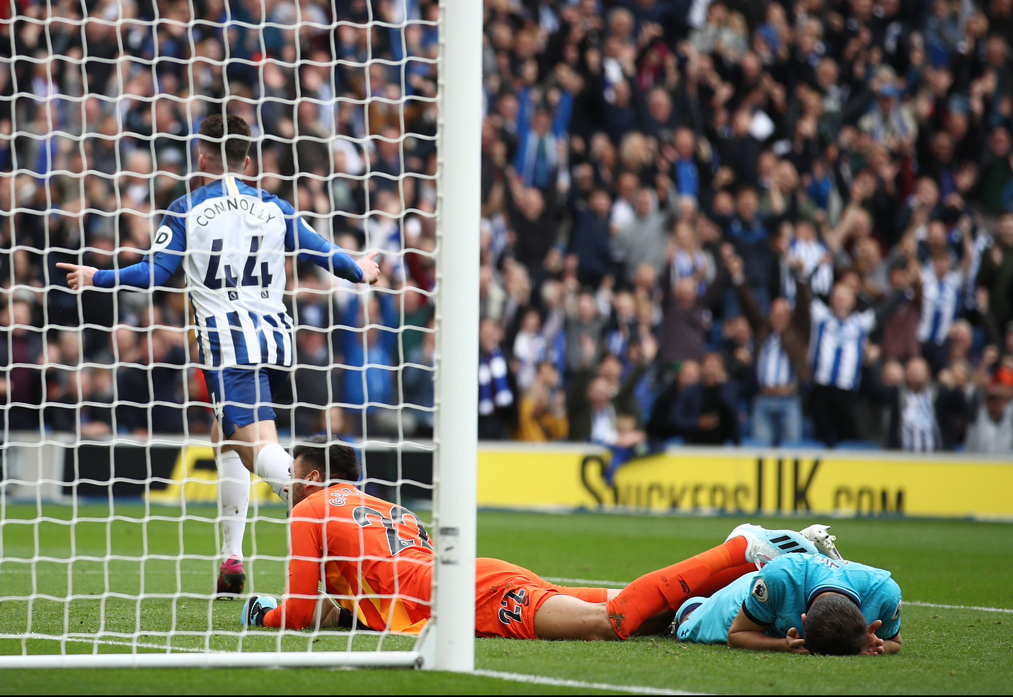 供了坚实的 供了坚实的